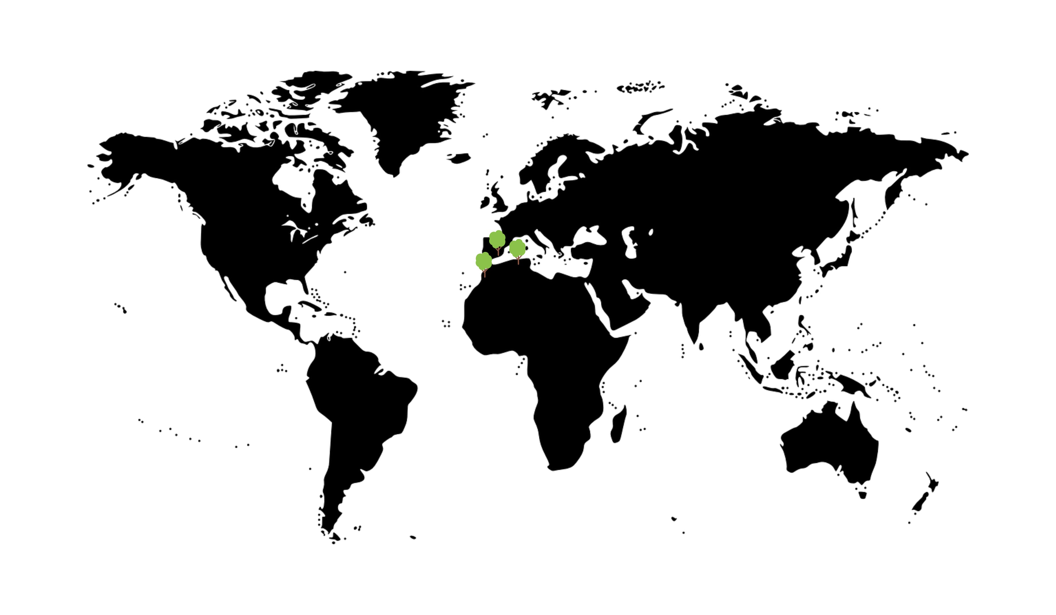 Schwarz-weiße Weltkarte mit kleinen Baumsymbolen, die die Regionen markieren, in denen Thuja Maserholz vorkommt